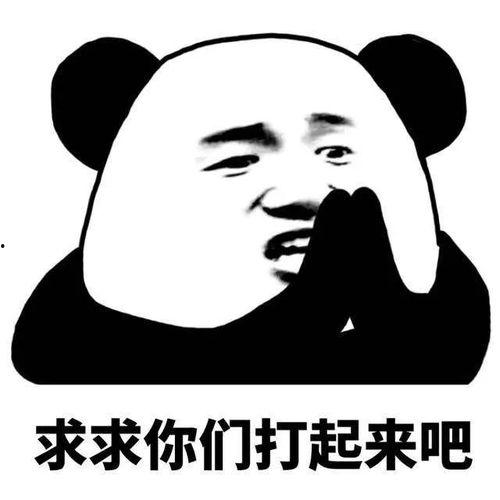 请大哥吃瓜,一场舌尖上的美食盛宴