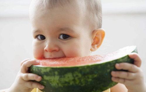 宝宝吃瓜不吐籽,揭秘宝宝饮食新风尚