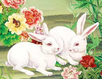 兔仙魅惑吃瓜,一场奇幻仙界的甜蜜诱惑