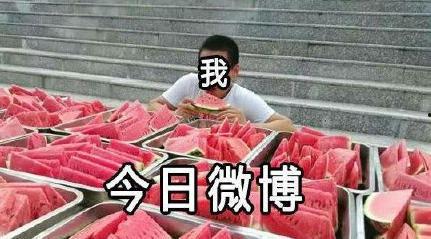 风起吃瓜转播,揭秘网络直播背后的精彩瞬间