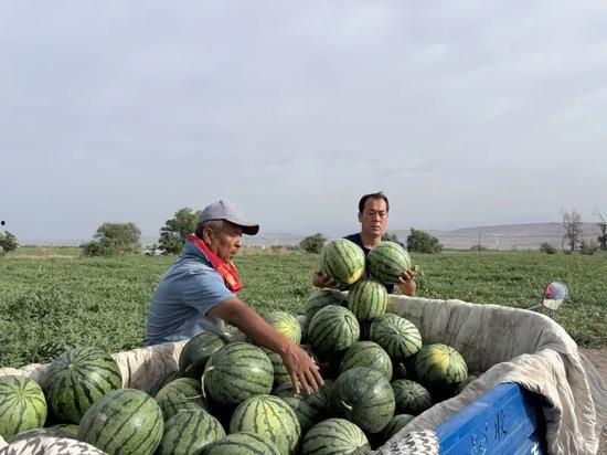 三校吃瓜,吃瓜群众揭秘校园秘闻