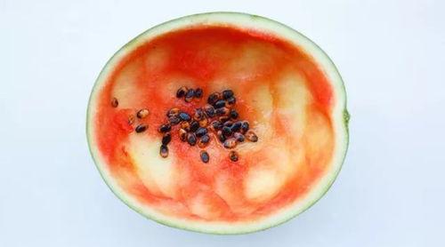 吃瓜配勺子文案短句,勺子文案短句大盘点