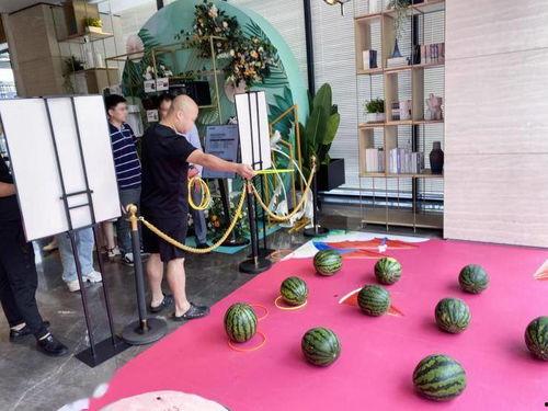 吃瓜节活动主题,吃瓜节主题活动精彩纷呈