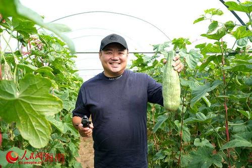 吃瓜文旅,揭秘娱乐圈背后的故事与真相