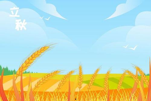 立秋吃瓜海报图片大全,海报里的丰收盛宴