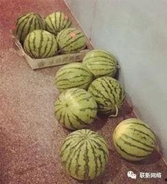 旁边吃瓜的人,揭秘吃瓜群众的趣味人生